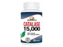 Rise-N-Shine Catalase täiendus 15 000 - võimas antioksüdant ensüüm juuste tervise toetamiseks - juukselisandid tugevaks juuste toetamiseks - 30 kapslit