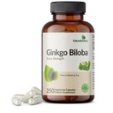 Tulevikubiootikumid Ginkgo Biloba Extra Tugevus Toetab Ajufunktsiooni Ja Mälu Toetust, 250 Taimekapslit