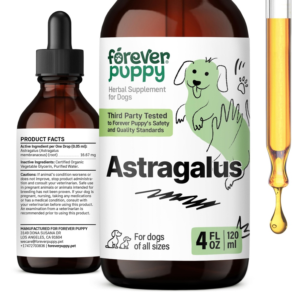 Igavene kutsikas Astragalus Juur tilgad koertele - Astragalus Membranaceus Väljavõte koerte immuunsuse toetamiseks - Taimsed lemmikloomad Vedelad toidulisandid immuunsuse ja rõõmsa lemmiklooma hooldamiseks - 4 oz