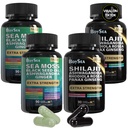 Boysea. Shilajit and Sea Moss Bundle- 90 Count - Sea Moss, Black Seed Oil, Ashwagandha, Ginger & Shilajit, Rhodiola Rosea, Kõik 1 täiendused (2 Pc)
