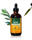 Herb Pharm Certified Organic Olive Leaf Liquid Extract for Immun System Support, 4 Fl Oz