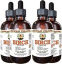 Kasealkoholivaba vedelik ekstrakt, kase (Betula Alba) Kuivatatud koor Glycerite Hawaii Pharm Looduslik Taimne täiendus 4x4 oz