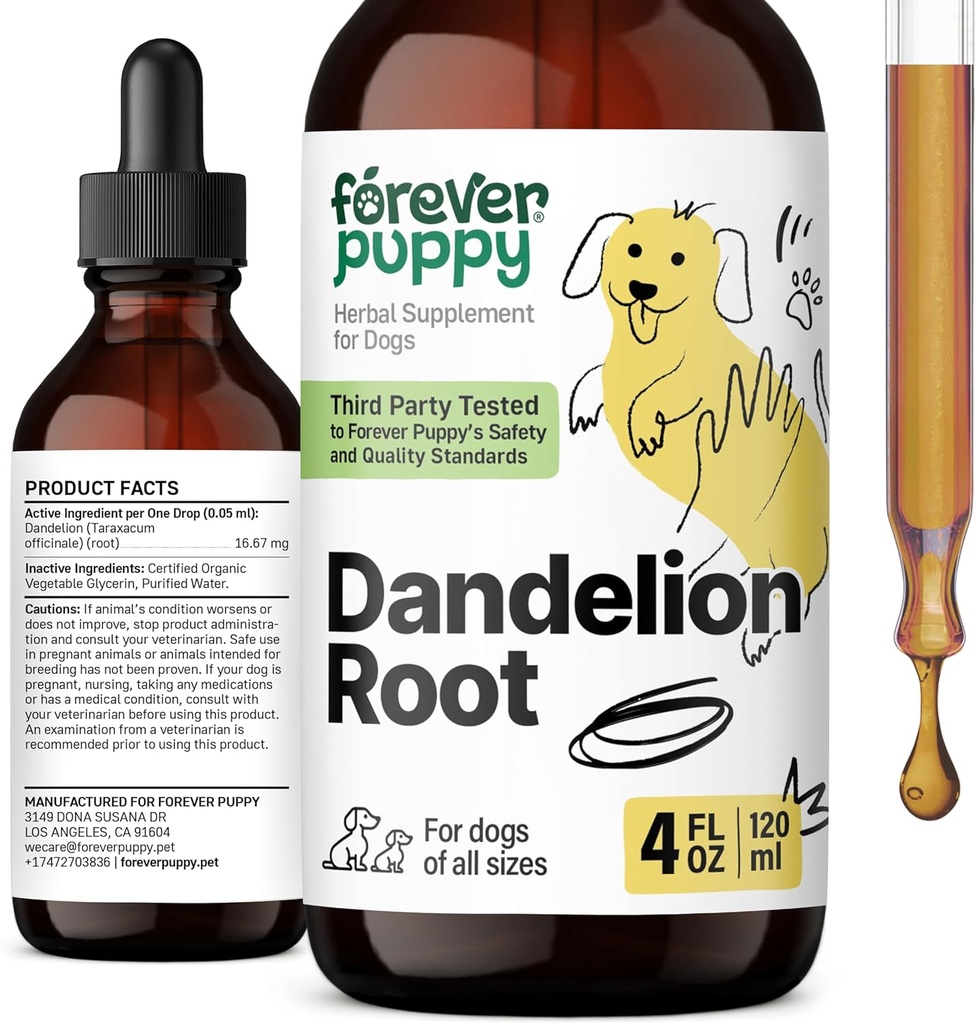 Forever Kutsikas Dandelion Juurtilgad koertele - Vedel Maksa Terviselisa suurtele, keskmistele ja väikestele koertele - Maksapuhastus Detoxi tilgad w/Dandelion Juurekstrakt - 4 oz