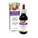 Naturalma Hawthorn (Crataegus oxyacantha) Leht ja õis Alkoholivaba tinktuur - 4 fl oz Vedel ekstrakt tilkadena - Taimne täiendus - Vegan