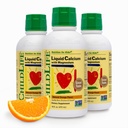 ChildLife Essentials Vedel Kaltsiumilisand lastele - Beebikaltsium magneesiumi, tsingi ja D3-vitamiiniga - oranž maitse, 16 fl oz (3 Pack)