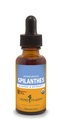 Herb Pharm Certified Organic Spilanthes Vedel Ekstrakt Puhastamiseks ja Detoksifitseerimiseks - 1 Ounce