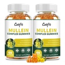 (120 tk) Mullein Gummies for Lungs Detox – Mullein Leaf Extract with Quercetin, Elderberry for Respiratory & Immune Support, Breathing & Lung Cleanse for Smokers, Vegan, Ananassimaitse, (2 Pack)