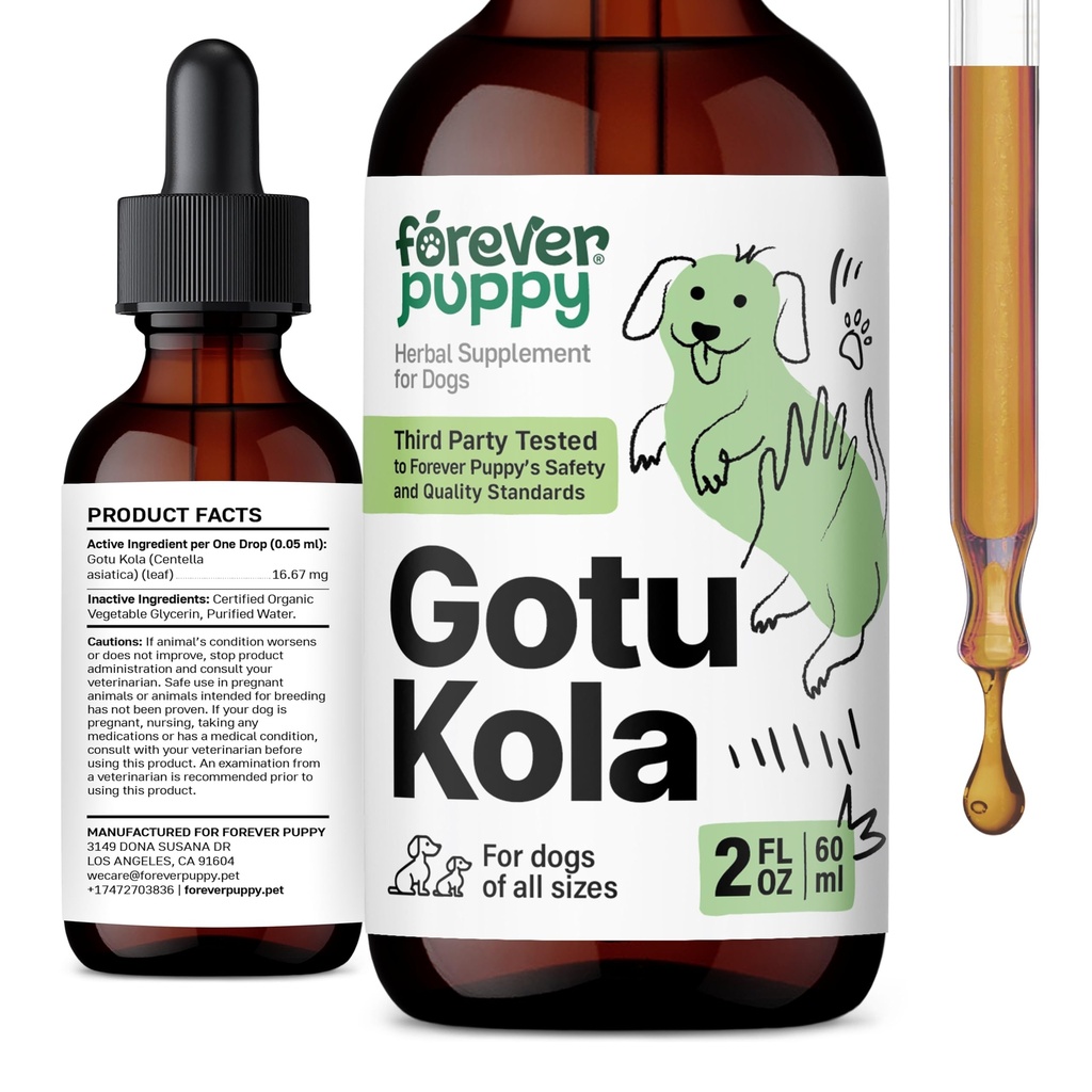 Forever Kutsikas Gotu Kola tilgad koertele - Centella Asiatica & Gotu Kola ekstrakt aju tervise toetamiseks - Vedel aju täiendus kõigile tõugudele ja suurustele koertele - 2 oz
