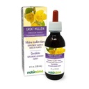 Naturalma Great Mullein või Common Mullein (Verbascum thapsus) Lill ja Leht Alkoholivaba tinktuur - 4 fl oz Vedel ekstrakt tilkadena - Taimne täiendus - Vegan