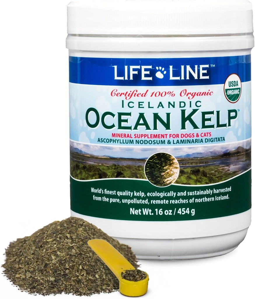 Life Line USDA sertifitseeritud orgaaniline ookean Kelp lemmikloomadele ja kariloomadele | Toetab naha ja naha tervist, immuunfunktsiooni ja hammaste hügieeni | Edendab ainevahetust ja vähendab katu ja katmist - 16 oz