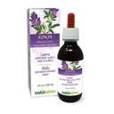 Naturalma Alfalfa või lutserni (Medicago Sativa) maitsetaimed õitega Alkoholivaba tinktuur - rikkalik looduslik klorofüll - 4 fl oz Vedel ekstrakt tilkades - Taimne täiendus - Vegan