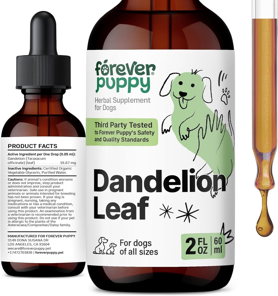 Forever Kutsikas Dandelion Leaf tilgad koertele - Neerude tervis Vedelik Toidulisa suurtele, keskmistele ja väikestele koertele - Neerupuhastus Detox Tilgad w / Dandelion Lehed Tinktuur - 2 oz
