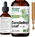 Forever Kutsikas Dandelion Leaf tilgad koertele - Neerude tervis Vedelik Toidulisa suurtele, keskmistele ja väikestele koertele - Neerupuhastus Detox Tilgad w / Dandelion Lehed Tinktuur - 2 oz
