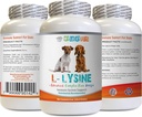Koer Aminohappelisandid - Koer LYSINE pulber - Puhas pulbervorm - Immuunsüsteemi tugi - Vet Soovitatav - lüsiinkoerad - 1 pudel (8oz 226,8 Grams)
