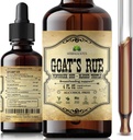 HERBALICIOUS Kitse rue vedelik ekstrakt 4 fl oz - looduslik taimne tinktuur kitse rue, lambaläätse seemned, õnnistatud ohakas - alkoholivaba mitte-GMO laktatsioonilisandi suurendatud rinnapiima