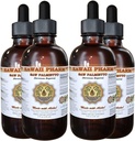 Hawaii Pharm Saw Palmetto (Serenoa Repens) Vedel ekstrakt 4x4 fl.oz