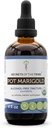 Saladused Tribe Pot Marigold USDA orgaaniline | Alkoholivaba ekstrakt, suure tugevusega taimetilgad | Valmistatud 100% sertifitseeritud orgaanilisest potist Marigold (Calendula, Calendula Officinalis) Kuivatatud õis (4 oz)