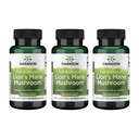 Swanson Lõvi Mane Seene - Traditsiooniline Aju Suurendaja Täiendus valmistatud Hericium Erinaceus (60 kapslit, 500 mg iga) 3 Pack