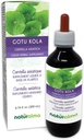 Naturalma Gotu kola (Centella asiatica) ürdi Alkoholivaba tinktuur - 6,76 fl oz Vedel ekstrakt tilkades - Taimne täiendus - Vegan