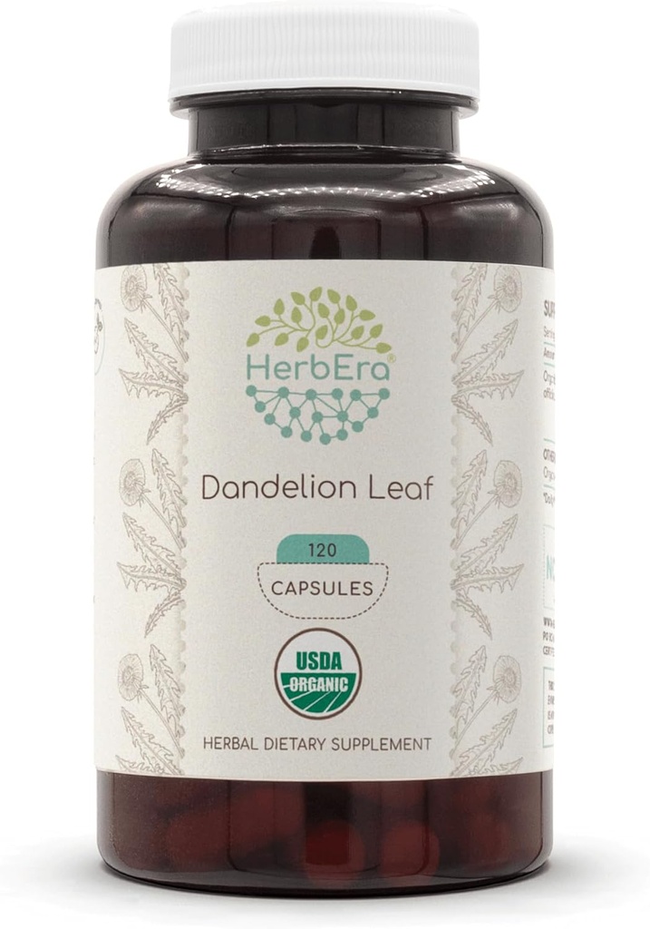 HerbEra Dandelion Leht 120 kapslit , 500 mg USDA Orgaaniline Dandelion ( Taraxacum Officinale ) Kuivatatud leht ( 120 kapslit )