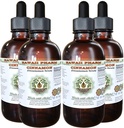 Kaneel Alkoholivaba vedelik ekstrakt, kaneel (Cinnamomum Verum) Kuivatatud koor Glycerite Hawaii Pharm Looduslik Taimne täiendus 4x4 oz
