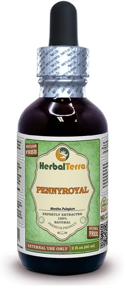 Pennyroyal (Mentha Pulegium) glütseriit, orgaaniline kuivatatud ürdi alkoholivaba vedelik Ekstrakt 2 oz