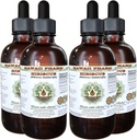 Hibiscus Alkoholivaba vedelik ekstrakt, orgaaniline Hibiscus (Hibiscus Sabdariffa) Kuivatatud õis Glycerite Hawaii Pharm Looduslik Taimne täiendus 4x4 oz