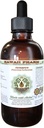 Feverfew Alkoholivaba vedelik ekstrakt, orgaaniline palavik (Tanacetum parthenium) Kuivatatud ürdi Glycerite Hawaii Pharm Looduslik Taimne täiendus 4 oz