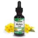 Nature's Answer Mullein Herb - Mullein Leaf Extract kopsudele - Alkoholivaba, GMO-vaba, valmistatud USA-s - toetab hingamisteede funktsiooni ja edendab tervislikke kopse - Mullein Leaf 1 Ounce Extract