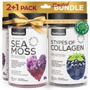 Kollageen ja merisambla Gummies Bundle - kollageenpeptiidid, Iiri mere sammal, biotiin, Keratin, põiewrack - Kummilisand immuunsusele, detox, terved juuksed, nahk ja küüned - meestele ja naistele