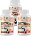 Kroppssund Urolithin A 1500 mg Supplement | with CoQ10 & Trans-Resveratrol | Mitochondrial Wellness and Muscle Function, Well-Being Aging | 120 Softgels