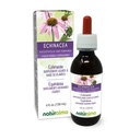 Naturalma Echinacea (Echinacea angustifolia ja purpurea) Juur ja ürdi Alkoholivaba tinktuur - 4 fl oz Vedel ekstrakt tilkades - Taimne täiendus - Vegan