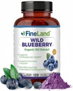FineLand Wild Blueberry 10: 1 Ekstrakt, 6000 mg Tugevus, 120 Vegan Kapslid, rikas Flavonoidid ja Antotsüaniinid, Antioksüdant Toetus Aju Ja Südame Tervis, 4-kuuline Varustus, Mitte-GMO Valmistatud USAs