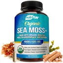 NutriFlair Organic Sea Moss 1600mg, 120 Kapsleid Plus Põiewrack & Burdock - Prebiootiline Super Food - Immuunsüsteem & Seedetrakti Tervis - Kilpnäärme, Tervislik nahk, Keto Detox, Gut