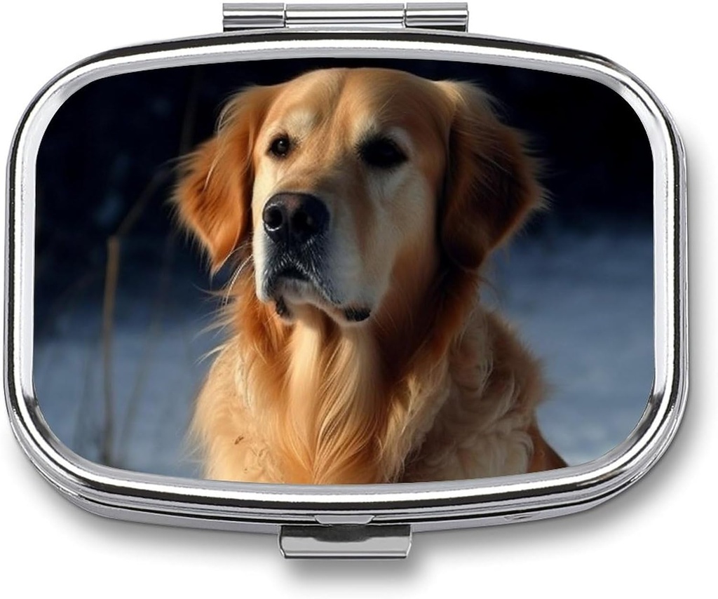 Golden Retriever Pill Box 2 Compartment Portable Pill Case Daily Square Pill Organizer for Pocket Purse Daily Medicine Container to Hold Vitamins Fish Oil Travel Gifts