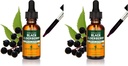 Herb Pharm Certified Organic Black Elderberry Liquid Extract for Immune System Support, Organic Cane Alcohol, 1 Oz (Pack of 2)