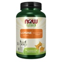 NOW Pet Health, L-Lysine Supplement, pulber, formuleeritud kassidele, NASC sertifitseeritud, 8-kordne