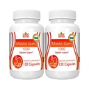Mastic Gum kapslid - Natural Gastrointestinal Support Supplement, 1000mg per Serving - 120 kapslit (2 pudelit)