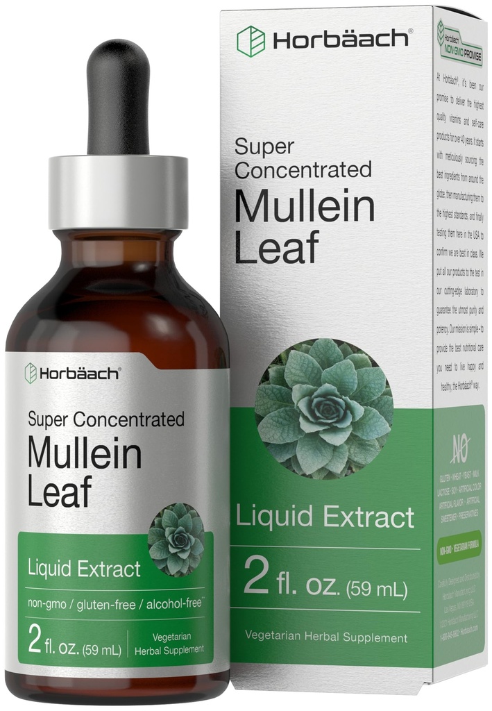 Horbäach Mullein Lehtekstrakti tilgad | 2 fl oz | Alkoholivaba vedelik tinktuur | Taimetoitlane, mitte-GMO ja gluteenivaba taimelisand