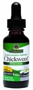 Looduse vastus Alkoholivaba Chickweed Stelleria Media 2000mg 1oz ekstrakt | Taimne täiendus | soodustab seedimist | Non GMO, Kosher, Gluteenivaba, Vegan | üksikarv