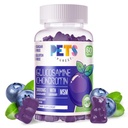 Lemmikloomad Puhtad Glükosamiini Kondroitiin Gummies koos MSM & Elderberry Extra Tugevusega - ühine tugi, antioksüdantide immuuntoetus täiskasvanutele, meestele ja naistele.60 Mustikakummid
