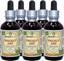 Prickly Ash (Zanthoxylum Clava-herculis) Tinktuur, kuivatatud koore vedelik ekstrakt (Brändinimetus: HerbalTerra, Proudly Made in USA) 5x2 fl.oz (5x60 ml)
