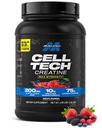 MuscleTech Kreatiin Monohüdraat Pulber Rakk-Tech Kreatiin Post Treening Taastuv jook Lihaste Ehitaja meestele ja naistele Lihased Ehitus Toidulisandid Puuvilja Punch, 3 lbs (27 Serv)