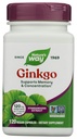 Nature's Way Premium ekstrakt Ginkgo, mälu ja kontsentratsioon *, 120 kapslit