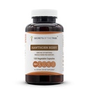 Tribe Hawthorn Berry Capsules 1000 mg Hawthorn (Crataegus spp.) Kuivatatud Marja, Kardio Support Supplement (120 kapslit)