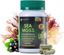 Mere sammalkapslid - 16-in-1 mere sammallisandiga põis, Burdock Juur, Black Seed Oil, Ashwagandha - Immune Support & Energy Booster - 60 Vegan Kapslid (19445mg)