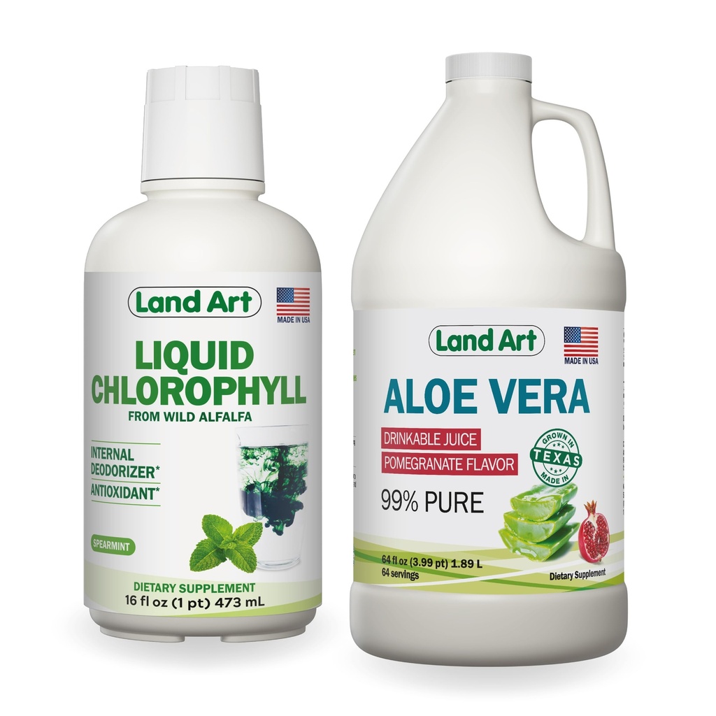 Maakunst Aloe Vera mahl - Granaatõunamaitseline - Külmtöödeldud - Mahepõllumajanduslike värskete lehtede sisefilee - 64floz + vedel klorofüllmündi maitsestatud - Külm ekstraheeritud looduslikest mitte-GMO Alfalfa - 16floz