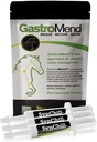 SynChill 3 Pack + GastroMend Bundle hobustele - põhjalik kõhu tervise ja käitumise toetamine, maohaavandi leevendamine, rahulikkuse ja keskendumise edendamine, kõik looduslikud, kulutõhusad