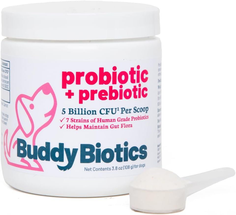 Buddy Biotics Probiootikum + Prebiootikum koertele - Gut Flora tervis, seedetrakti ja immuunsüsteemi tervis, kõhulahtisus ja sooletoetus - 5 miljardit CFU Scoopi kohta