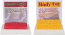 SimCoach Inimkeha Rasv & Lihased Replica 1 Lb, Keep Fit & Fitness Motivatsioon & Meeldetuletus, Inimese Lihasrasva mudel toitumisspetsialistile, sportlane